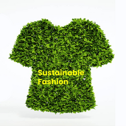 Image of a Sustainable Clothing